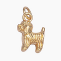 Lifestyle Charm