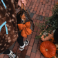 Pumpkin Patch Bag Charm